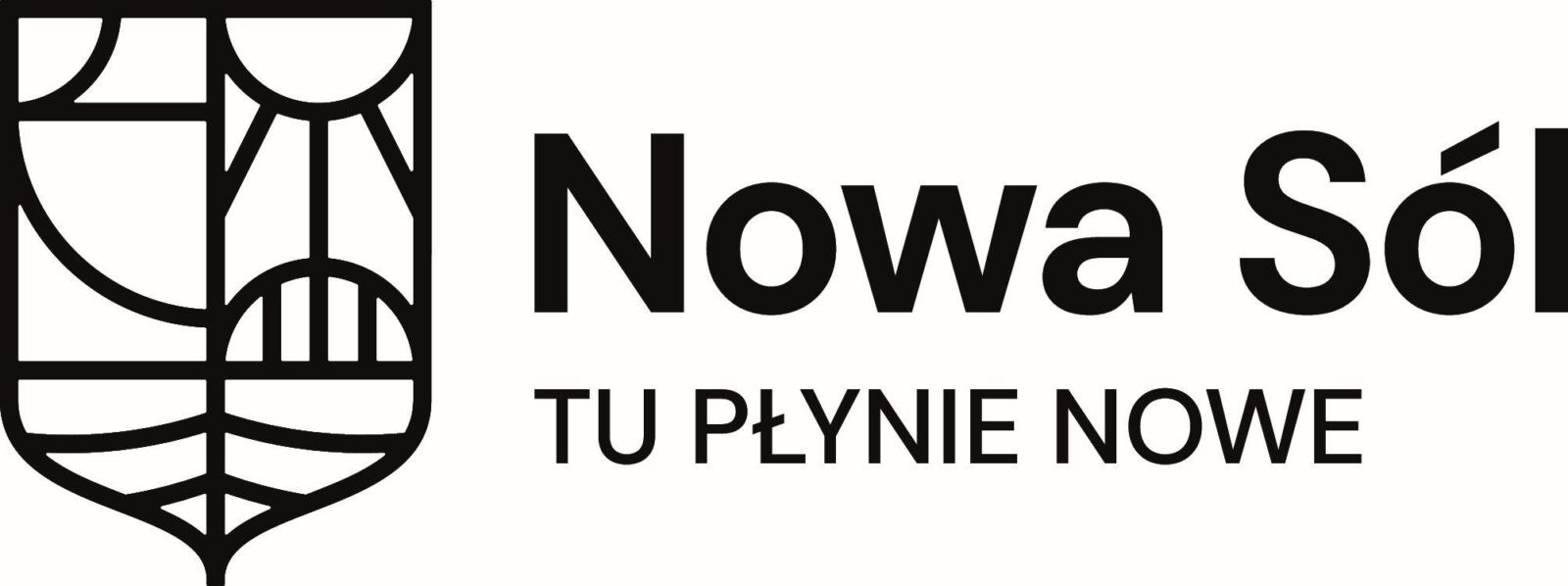 logo_Nowa_Sol_RGB_czarne_poziom logo_Nowa_Sol_RGB_czarne_poziom